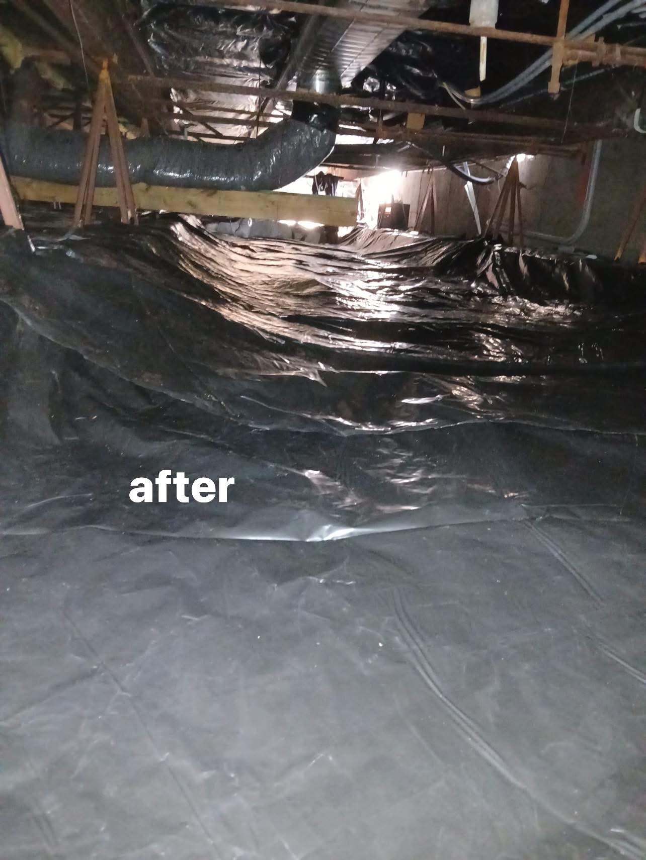 Restoration Professional at Work