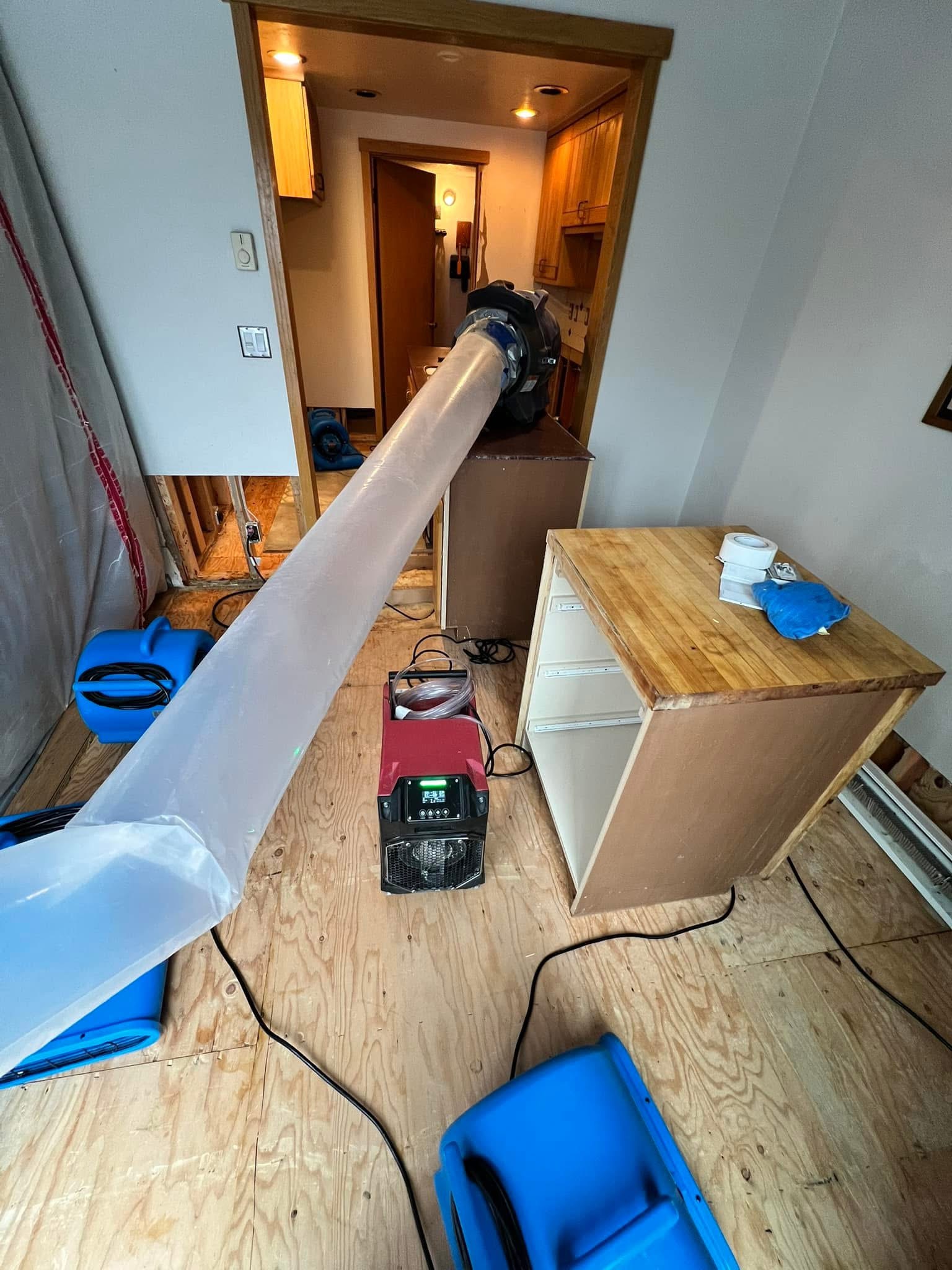 Restoration Professional at Work